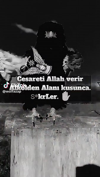 Discover the Majestic Bird of Prey in Nature