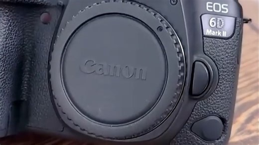 佳能EOS 6D Mark II，一机多用，拍照拍视频都能稳稳抓住精彩