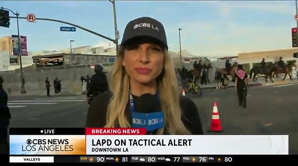 LAPD officers square off with demonstrators after downtown LA 'No Kings' protest