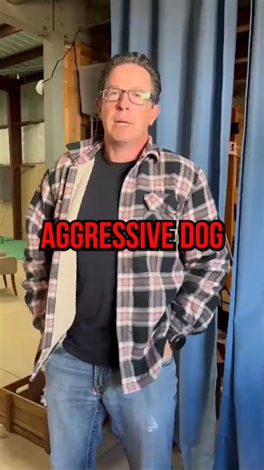 What is the difference between an AGGRESSIVE DOG and a REACTIVE DOG? 😮⬇ Aggressive dogs and reactive dogs are often confused with one another, so in this video, K9 Intuition's lead trainer Stefano explains the difference! Simply put, an aggressive dog is showing aggressive behavior because they are constantly in a state of aggression and eager to dominate those around them. A REACTIVE DOG is a dog that maybe hasn't been socialized properly and is showing aggression towards something they are af
