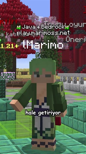 Our Minecraft server has 2 different game modes!