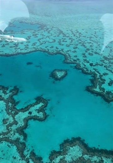 Great Barrier Reef scenic flight, wow! The views were incredible 😍 the famous heart reef as well! @Frey.war #australiatiktok #travel #greatbarriereef #aus #views
