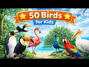 50 Birds for Kids | Learn Birds Names with 50 Different Birds for Kids