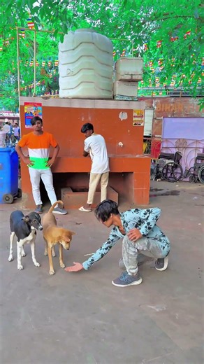 Dog🐶is best friend🤕ever and amazing dog😱 #dogapparel #dogshorts #funnyanimals #youtube