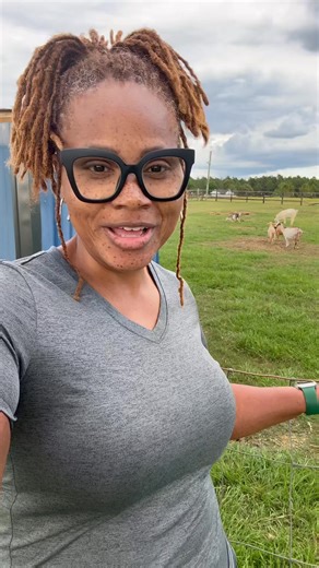 We Put One Of Our Bucks (Ace) with the Female Goats to Mate But Nutmeg Is Still Not Having It! 😂😂 #AmenSomebody Part 1 | Theresa Yolanda Brown