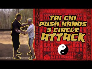 Tai Chi | Push Hands | 3 circle attack | Mark Rasmus Feb 2016