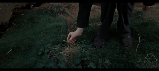 severus rogue ❤️#snape #lilyevans #severusrogue