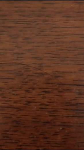 nathandoancomedyfan on TikTok