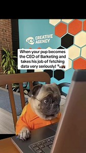 11 reactions | Winning at the 'write' game!  | ICS Creative Agency | Facebook