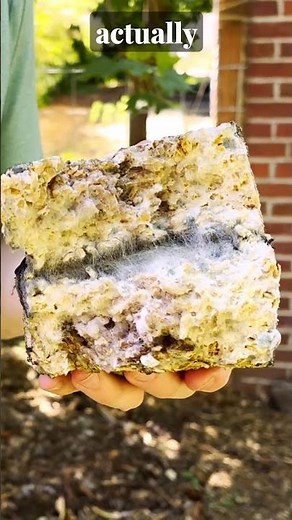 How to Use Microbes to Balance your Soil