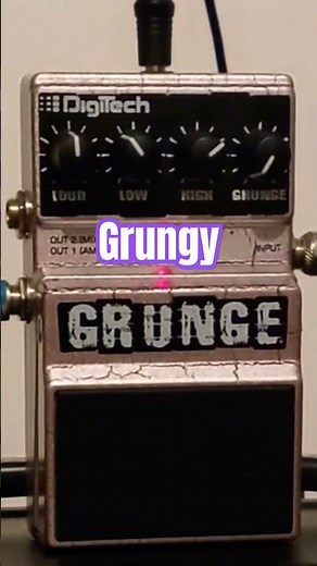Digitech Grunge Pedal #digitech #grunge #distortion #guitarpedals #livemetal