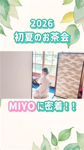初夏のお茶会🌱✨#japan #japaneseculture #japaneseteaceremony #matcha #kimono #日本文化 #茶道 #抹茶 #着物