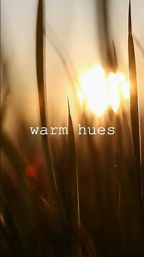 Why Are Sunsets Red? | The Science of Colorful Skies Explained!