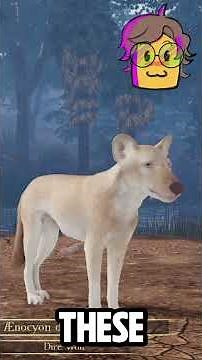The Dire Wolf is so cool!! - Ecos: La Brea Dire Wolf Spotlight