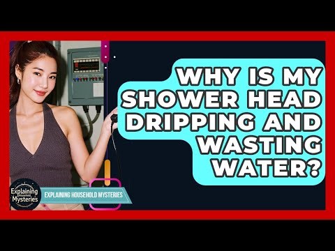 Why Is My Shower Head Dripping And Wasting Water? - Explaining Household Mysteries