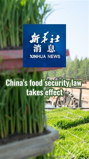 6.9K views · 34 reactions | China's food security law began taking effect on Saturday, aimed at ensuring the supply of grain and related products. #XinhuaNews | China Xinhua News | Facebook