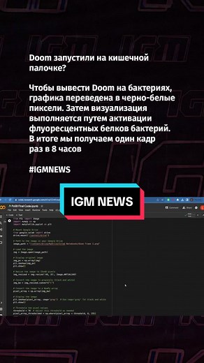 IGM NEWS – #IGM