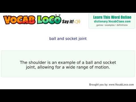 Ball and socket joint – English Pronunciation, Definition, Synonyms, Antonyms, Example Sentence