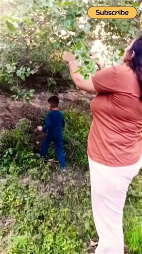 Mulberry Hunting with My Wife & Son! 🍇 A Perfect Morning Walk