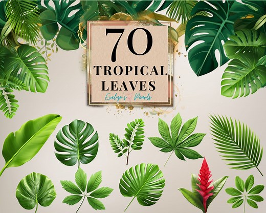 Leaves Clipart Tropical Leaves PNG Nature Clipart Safari Leaves Clipart Monstera Leaf PNG Safari Decor | Commercial Use Clipart Transparent - Etsy