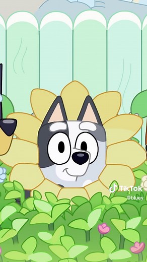 Our Muffin 💙 #bluey #blueytok #muffin