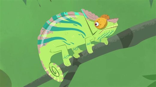 Wild Kratts - Chameleon Camouflage Video | PBS KIDS