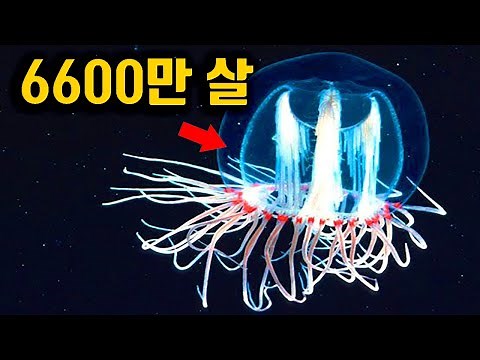 늙어죽지 않는 생명체의 발견(홍해파리,작은보호탑해파리)