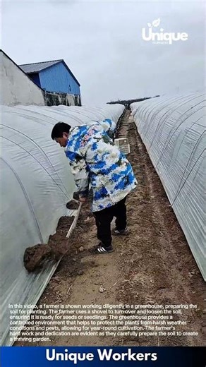 Hardworking Farmer Prepares Soil in Greenhouse for Planting