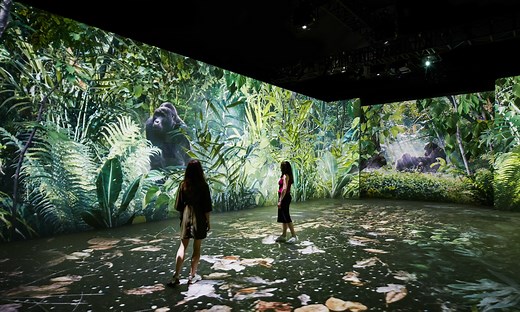 Our Story with David Attenborough, Natural History Museum review: moving immersive film about humanity’s past and future