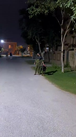 Virus The Doberman on TikTok