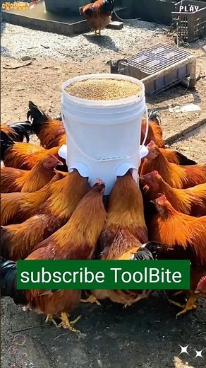 DIY Chicken Feeder from Plastic Bucket | Creative #RuralFarming Hack 2025