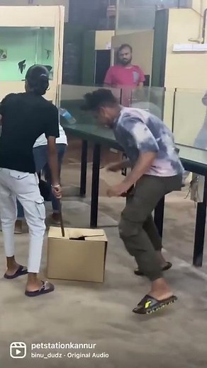 സൂക്ഷിച്ച്‌ നോക്കണേ.. എങ്കിലേ കാണൂ