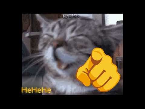 Cat Laughing Meme Sound Effect 🫵😂 | Funny Sound Effects