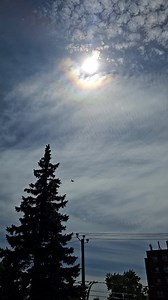 Stockage des pneus d'hiver en été #كندا #information #montrealcity #معلومات | Aminos Canada