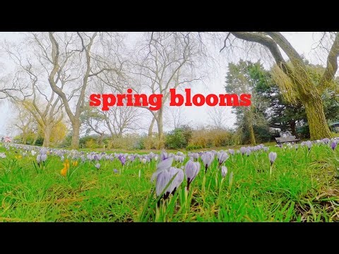 Radipole park and Garden weymouth