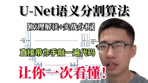 【U-Net语义分割算法】原理 实战精讲：从原理到手敲代码，让你10分钟搞懂的U-Net教程！（AI/深度学习/计算机视觉/图像分割/pytorch）