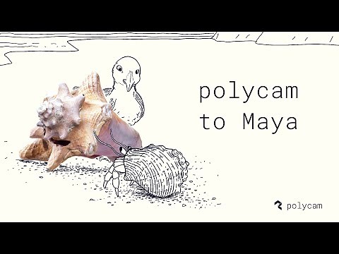 Polycam to Maya Tutorial