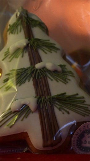 🍩A karácsonyi időszak egyik legnépszerűbb süteménye a mézeskalács🎄 A mézeskalács készítése Magyarországon több száz éves hagyományra tekint vissza, és a mai napig fontos része az ünnepi készülődésnek. Sokféle recept létezik, Fischer Erika szerint a részletekben rejlik a minőségi mézeskalács titka. 🎥Riba Szabolcs | SopronMédia