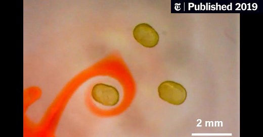 This New Liquid Is Magnetic, and Mesmerizing