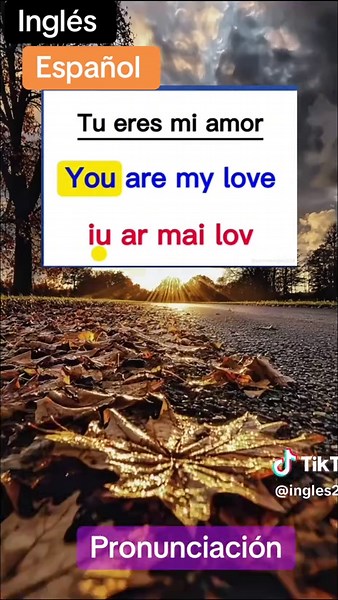 Aprende Inglés Fácil y Rápido con Nuestro Tutorial