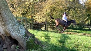 We have 9 cameras filming every team today @cotswoldteamchase #cotswoldteamchase2019 @britishteamchasing | Total Recall Videos