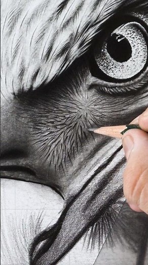 Insane Feather Details 🦅 Realistic Eagle Drawing Reveal!