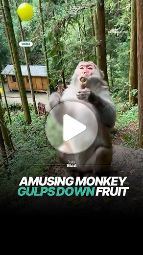 8K views · 38 reactions | Makes it look so easy  | Daily Mail Entertainment | Facebook