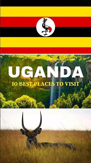 10 best places to visit in Uganda #shorts #uganda #travel #vacations #youtubeshorts #africa