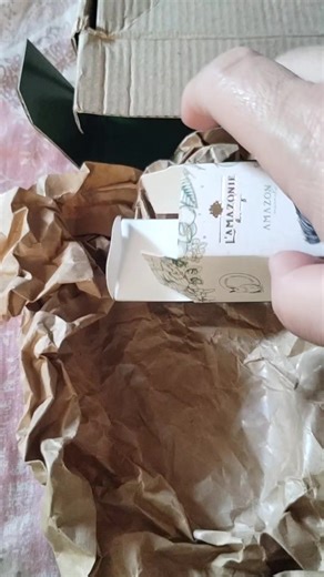 Testando Lamazonie: A Nova Febre da Internet