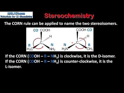 B.10 Stereochemistry of amino acids (HL)