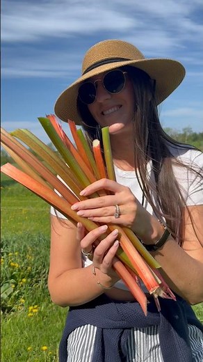 THE BEST RHUBARB RECIPE!! #fromscratch #recipe #rhubarb #cakerecipe