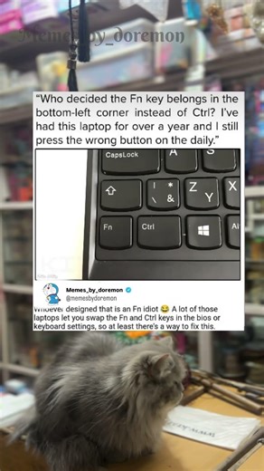 The Fn key placement makes me rage