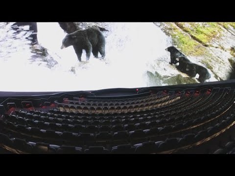 One-of-a-kind theatre opens at North Texas museum