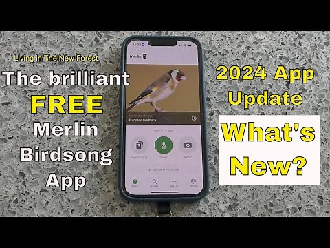 FREE Merlin Birdsong App - 2024 updated functionality. What's New? #merlinapp